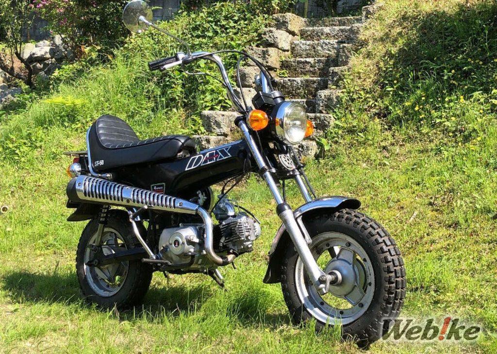 Dax al máximo: HONDA DAX Custom
